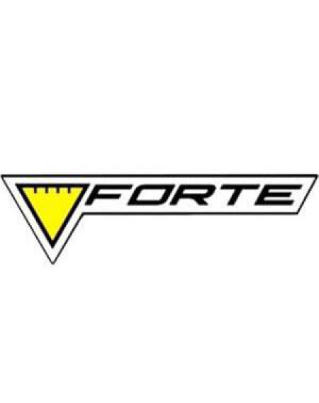 Бетономішалка FORTE EW2125P